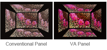 178°/178° Wide-Viewing Angles 